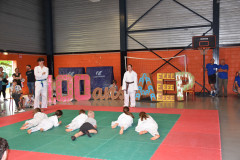 Démonstration de Judo